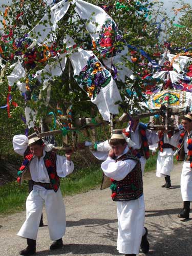 Foto Tanjaua din Hoteni 2011 (c) eMaramures.ro