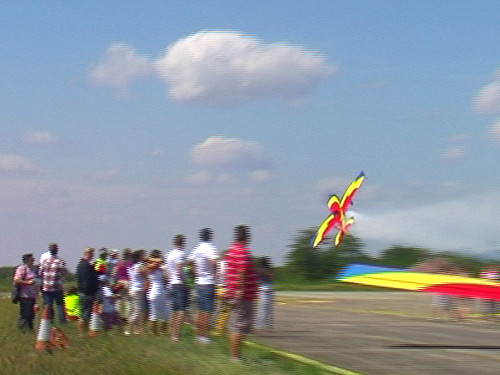 Foto: avion - miting aviatic Baia Mare (c) eMaramures.ro