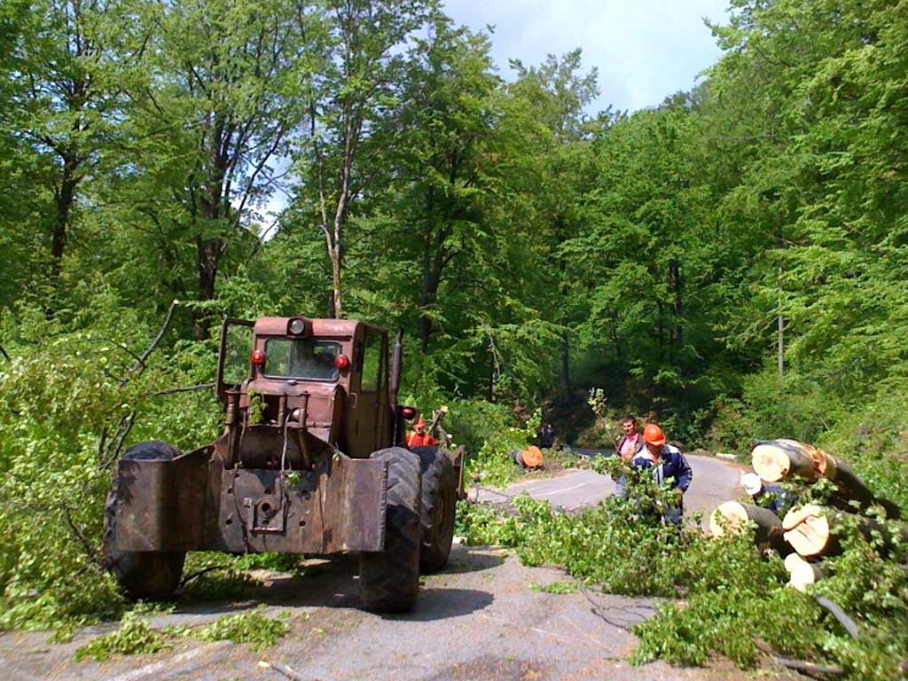 Foto DN 18 - Blocaj trafic - taieri copaci (c) eMaramures.ro