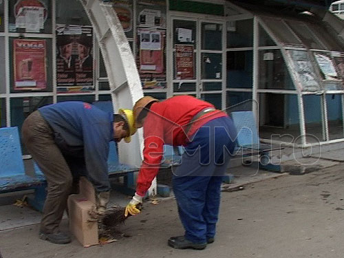 Foto: statie autobuz Pietrosul - Baia Mare (c) eMaramures.ro
