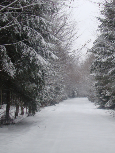 Drumuri Maramures