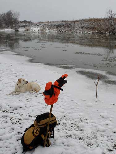 Foto peisaj hibernal