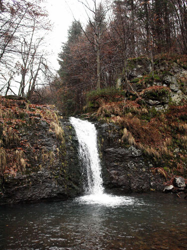 Foto cascada Valea Sturzului (c) Petru Goja