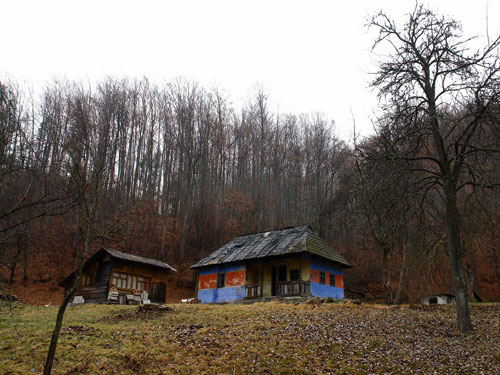 Foto casuta Blidar (c) Petru Goja