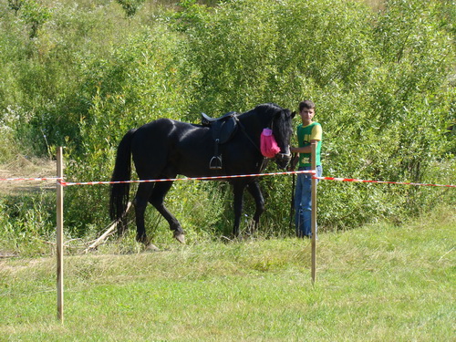 Foto Valea Chioarului - Miss animale 2010 (c) eMaramures.ro