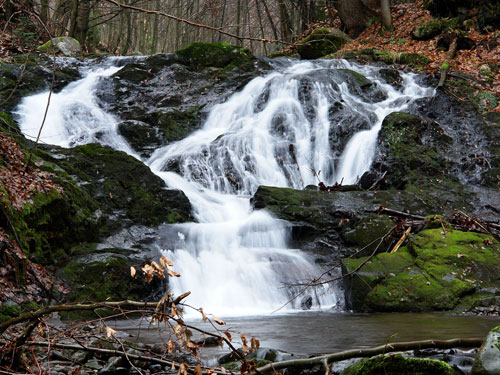 Foto cascada Valea Blidarului(c) Petru Goja