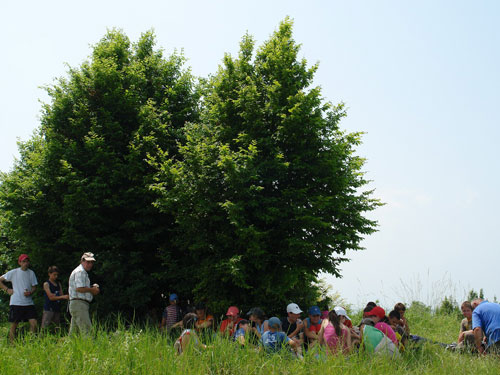 Foto la umbra (c) eMaramures