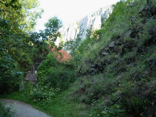 Foto Fosta moara de pe valea Hasdate (c) Lucian Petru Goja