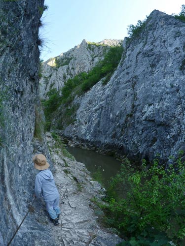 Foto Radu - prudenta la maximum (c) Lucian Petru Goja