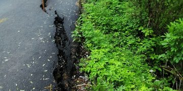 Ploile din ultimele zile au făcut prăpăd în Maramureș – FOTO