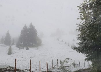 Fenomene extreme în Maramureș. Stratul de zăpadă are 7 centimetri, dar plouă