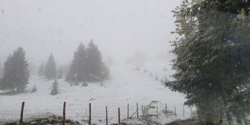 Fenomene extreme în Maramureș. Stratul de zăpadă are 7 centimetri, dar plouă