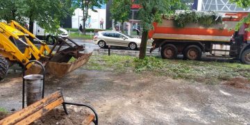 Mobilizare în întregul oraș pentru a îndepărta efectele furtunii – FOTO și VIDEO