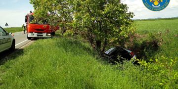 Șofer băimărean şi câinii acestuia, încarceraţi în urma unui accident rutier la Apa