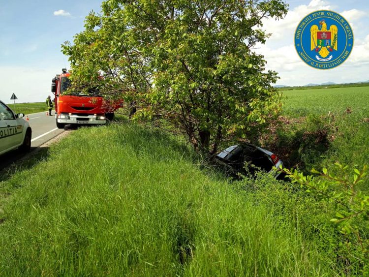Șofer băimărean şi câinii acestuia, încarceraţi în urma unui accident rutier la Apa
