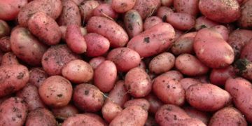 Cartofii, în topul scumpirilor din luna aprilie