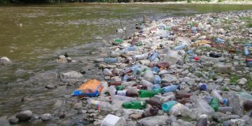 Administraţia Bazinală de Apă Someş-Tisa: Primăriile sunt responsabile de igienizarea arealului administrat, inclusiv a cursurilor de apă