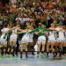HANDBAL – Liga Campionilor – Finală între Gyor și Rostov Don