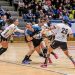 HANDBAL – Liga Florilor – CS Minaur joacă la Zalău, un derby al orgoliilor