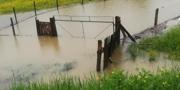 Apele au intrat în curţile oamenilor din Strâmtura şi Vişeu de Sus. Au fost atinse cotele de atenţie pe râurile Firiza şi Cavnic – foto