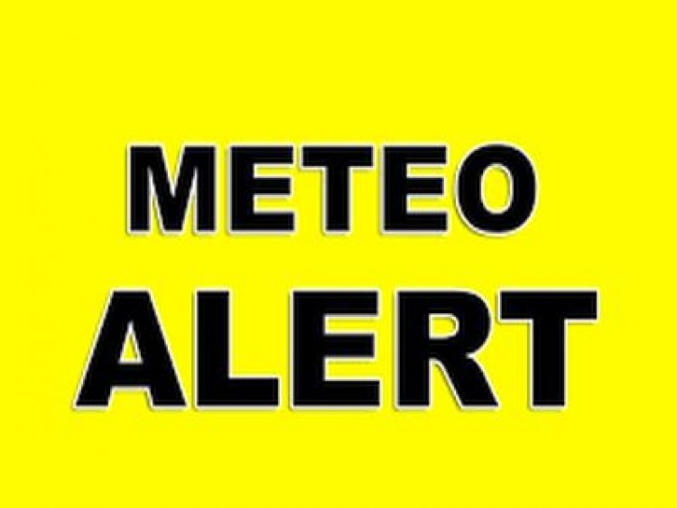 Cod galben în Maramureș