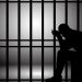 Un condamnat pentru furt calificat, depus după gratii în Penitenciarul Baia Mare