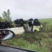 Un TIR s-a răsturnat pe câmp la Apa – FOTO