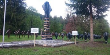 Descinderi la suspecții care au vandalizat crucile din Cimitirul Valea Uzului