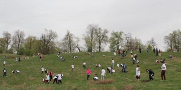 Țara în care elevii și studenții trebuie să planteze câte 10 copaci pentru a deveni absolvenți