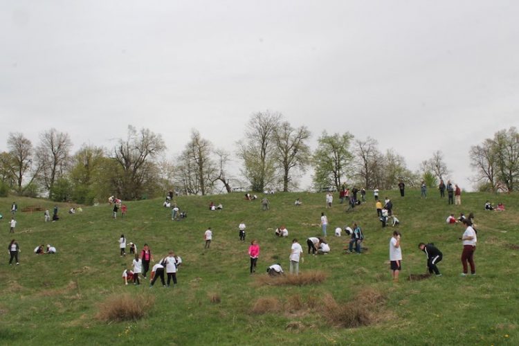 Țara în care elevii și studenții trebuie să planteze câte 10 copaci pentru a deveni absolvenți
