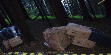 Contrabandă cu țigări. Peste 29.000 de pachete. Polițiștii de frontieră preiau controlul