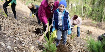 Mesajul deputatului liberal dr. Viorica Cherecheș de Ziua Mediului