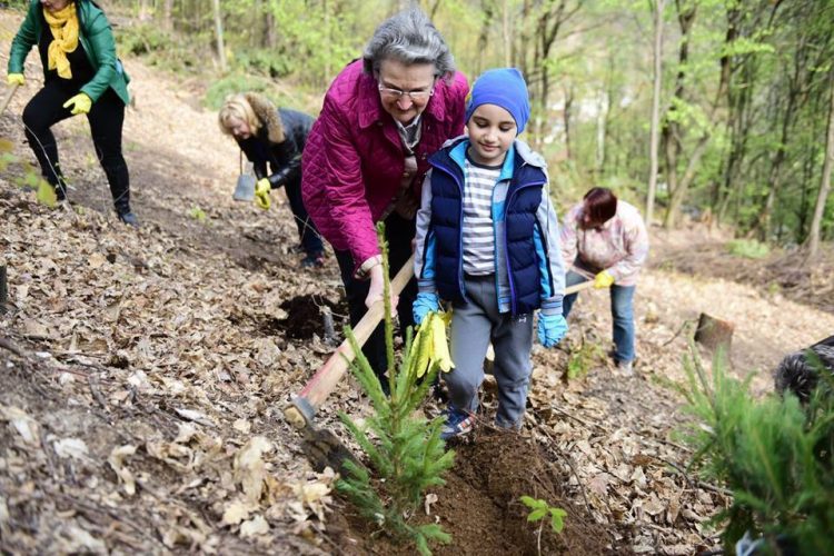 Mesajul deputatului liberal dr. Viorica Cherecheș de Ziua Mediului