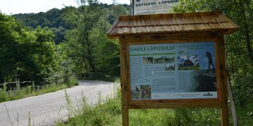 Panouri de informare pentru Cheile Lăpușului – FOTO