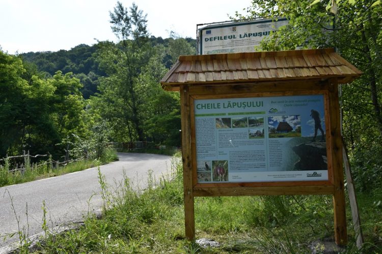 Panouri de informare pentru Cheile Lăpușului – FOTO