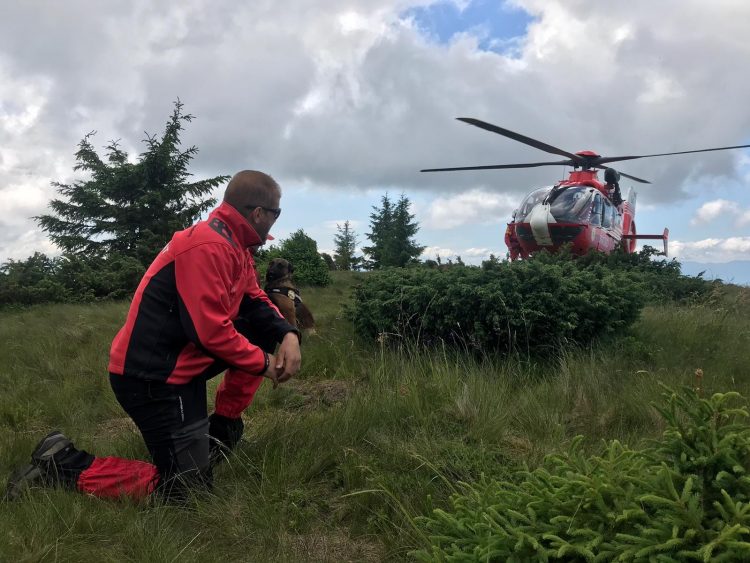 A mai trecut o zi, iar ciobanul maramureșean nu a fost găsit