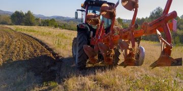 Bani din agricultură pentru maramureșeni