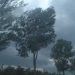 Avertizare meteorologică COD GALBEN în Maramureş!