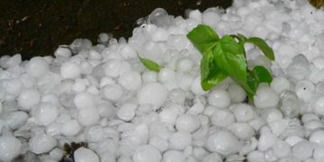 Doamne, ai milă! Grindina a lovit Țara Lăpușului