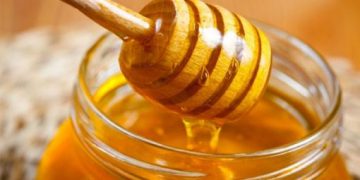 Căldura mare, bucuria apicultorilor. Ce are special acest sezon