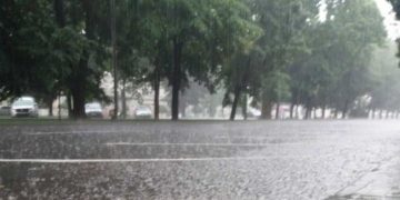 Cod galben predominant în Maramureș și în alte județe