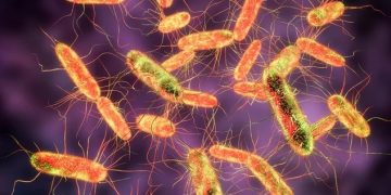 Alertă! Copiii de la o grădiniţă privată din Baia Mare, intoxicaţi cu Salmonella