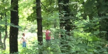 Au tăiat cu drujba un arbore din Parcul Dendrologic după care au aprins focul pentru grătare – VIDEO