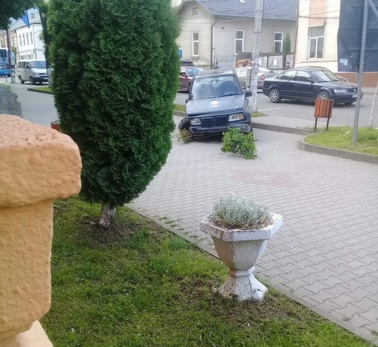 Un tânăr din Vişeu de Sus, beat şi fără permis de conducere, a distrus doi copaci, apoi a „parcat” pe trotuar