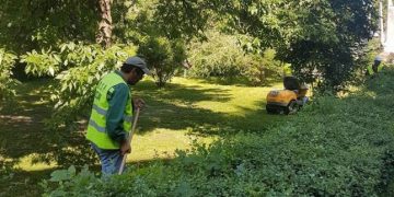 Primăria Baia Mare angajează zilieri