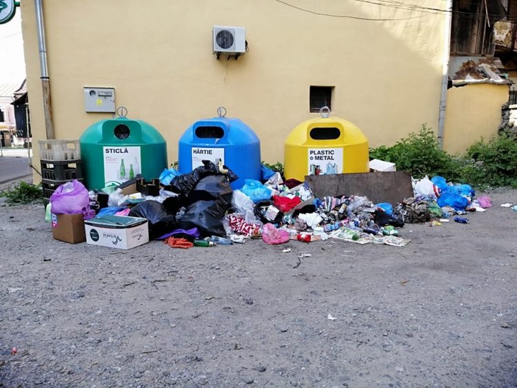 Apel inedit la Sighetu Marmaţiei: „Faceți poze dacă vedeți așa ceva…”