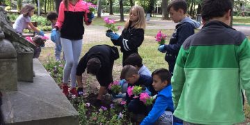 Baia Mare, „inima verde” a judeţului a ajuns între primele 10 oraşe, cele mai frumoase din România. Galerie foto impresionantă