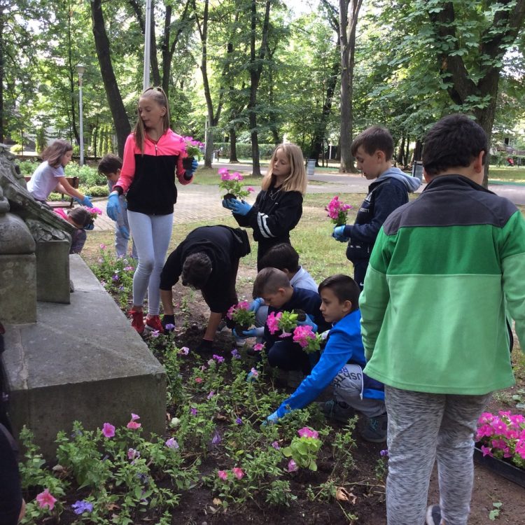 Baia Mare, „inima verde” a judeţului a ajuns între primele 10 oraşe, cele mai frumoase din România. Galerie foto impresionantă