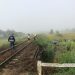FOTO / Șoferul care a decedat în accidentul feroviar de la Fersig este un tânăr de 20 de ani
