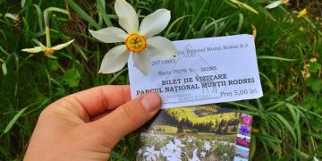 Plata biletului de vizitare a Parcului Naţional Munţii Rodnei se poate efectua şi prin SMS. Află cum